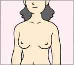 乳房の観察1